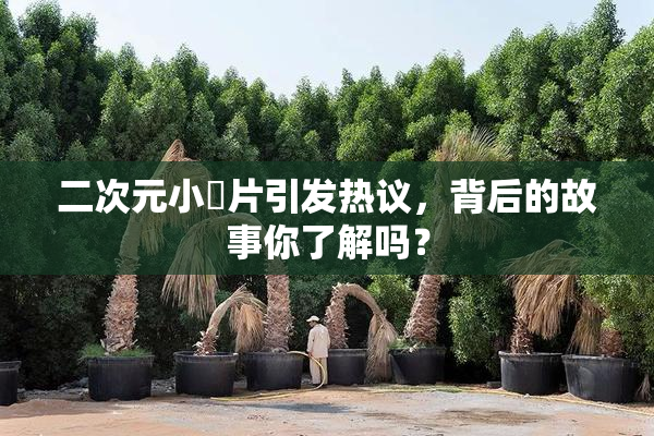二次元小黃片引发热议，背后的故事你了解吗？