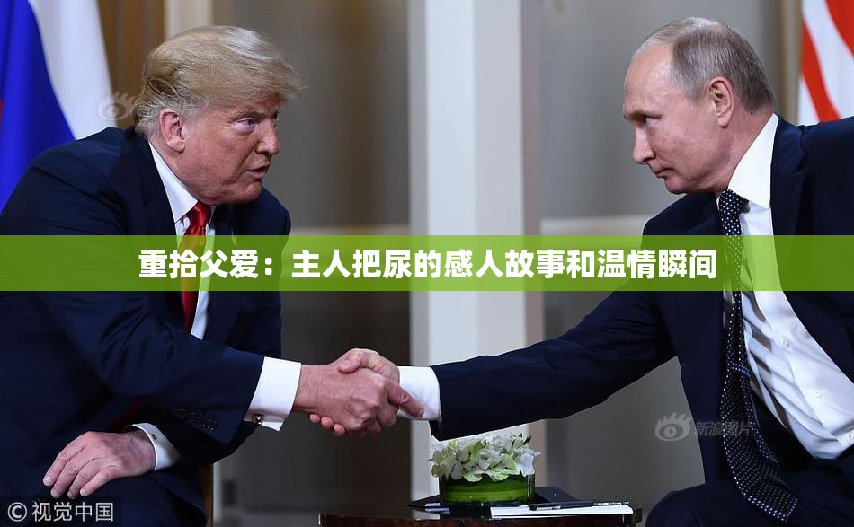 重拾父爱：主人把尿的感人故事和温情瞬间