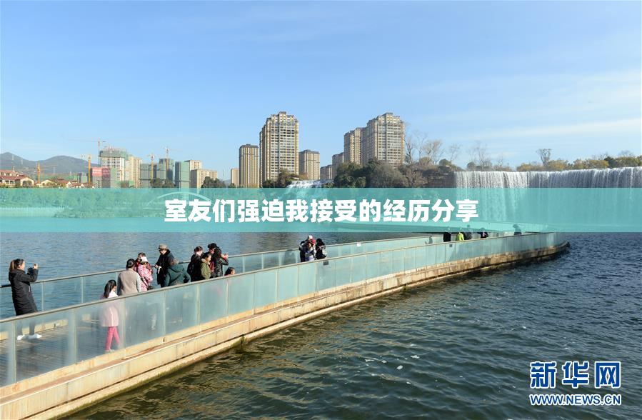 室友们强迫我接受的经历分享
