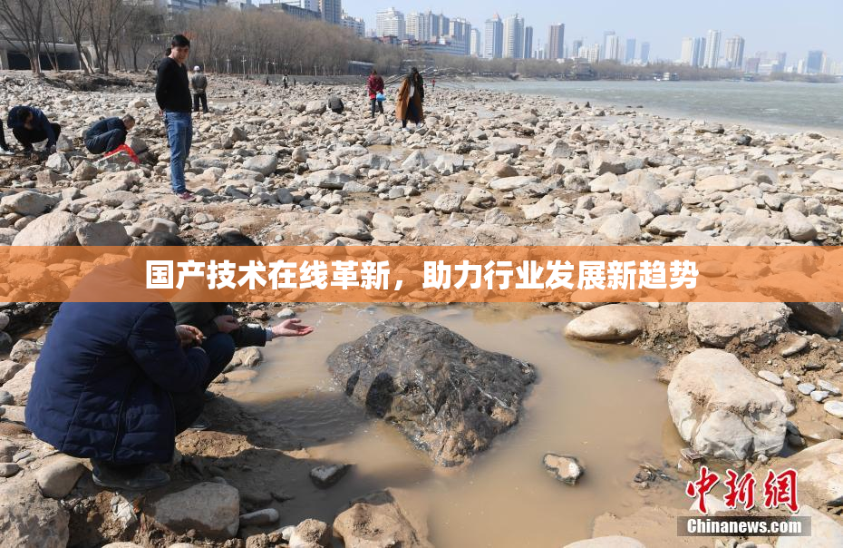 国产技术在线革新，助力行业发展新趋势