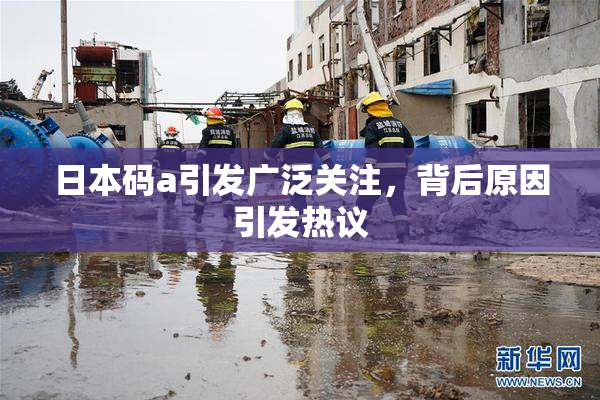 日本码a引发广泛关注，背后原因引发热议