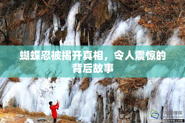 蝴蝶忍被揭开真相，令人震惊的背后故事