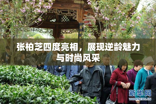 张柏芝四度亮相，展现逆龄魅力与时尚风采