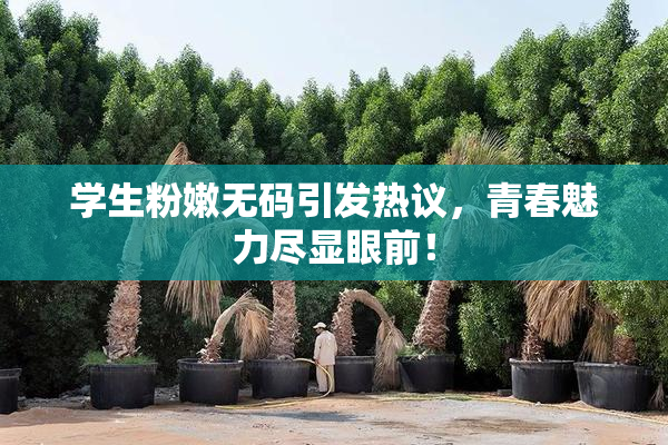 学生粉嫩无码引发热议，青春魅力尽显眼前！