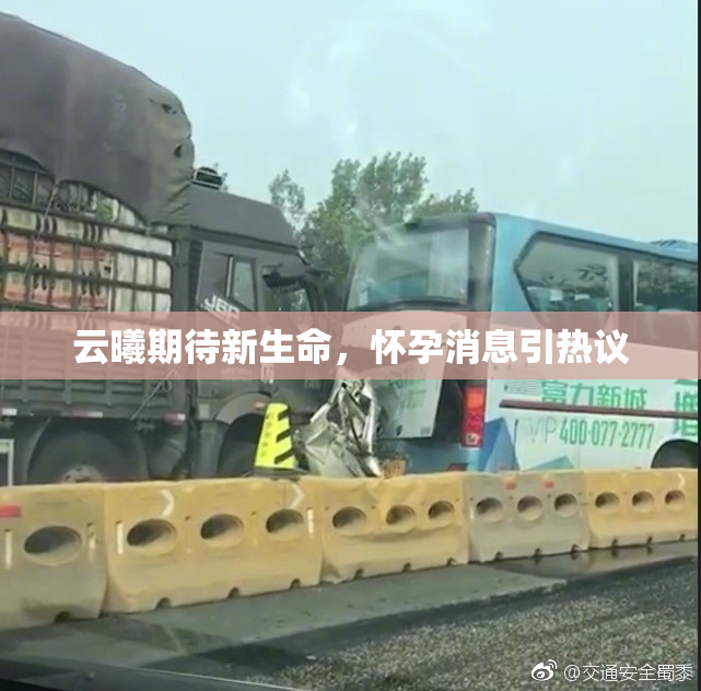 云曦期待新生命，怀孕消息引热议