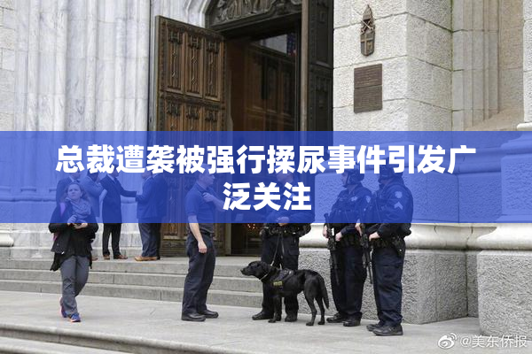 总裁遭袭被强行揉尿事件引发广泛关注