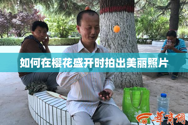 如何在樱花盛开时拍出美丽照片