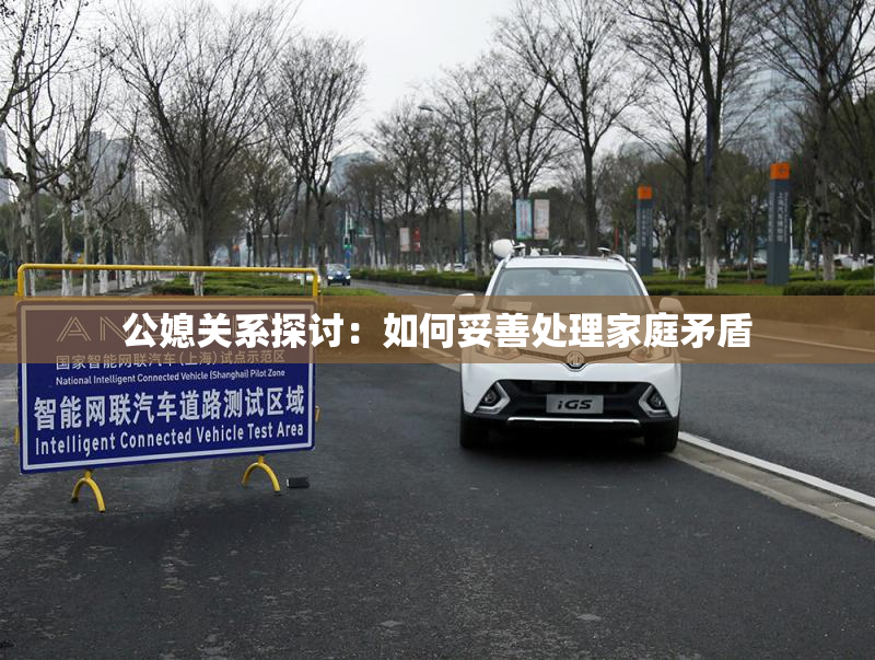 公媳关系探讨：如何妥善处理家庭矛盾