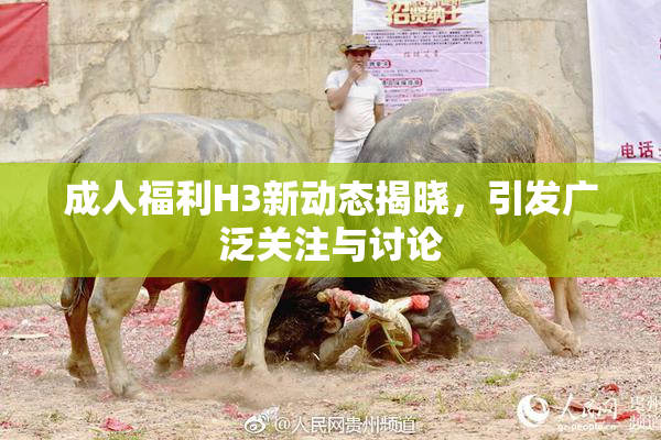 成人福利H3新动态揭晓，引发广泛关注与讨论