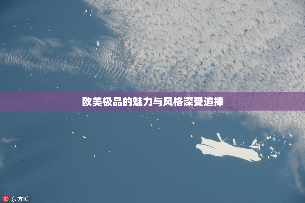 欧美极品的魅力与风格深受追捧