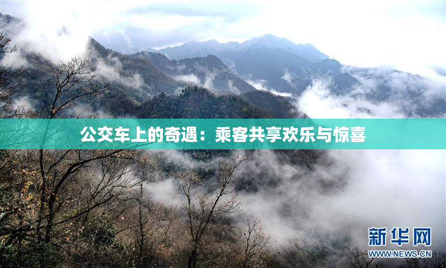 公交车上的奇遇：乘客共享欢乐与惊喜