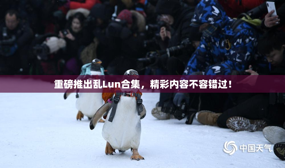 重磅推出乱Lun合集，精彩内容不容错过！