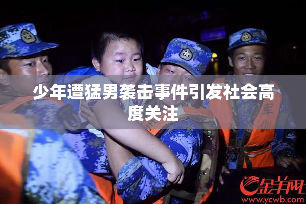 少年遭猛男袭击事件引发社会高度关注