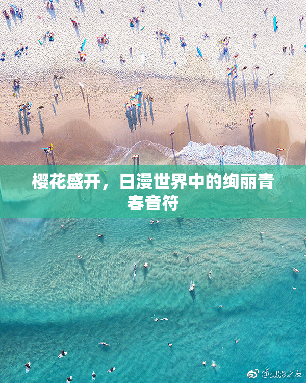 樱花盛开，日漫世界中的绚丽青春音符