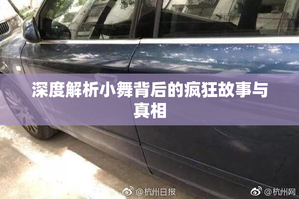深度解析小舞背后的疯狂故事与真相