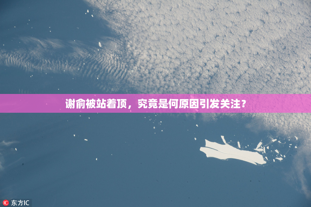 谢俞被站着顶，究竟是何原因引发关注？