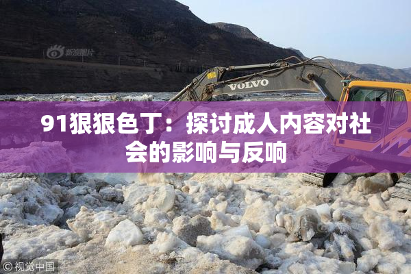 91狠狠色丁：探讨成人内容对社会的影响与反响