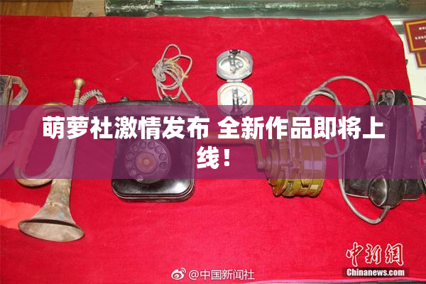 萌萝社激情发布 全新作品即将上线！