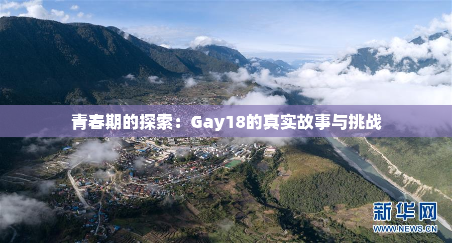 青春期的探索：Gay18的真实故事与挑战