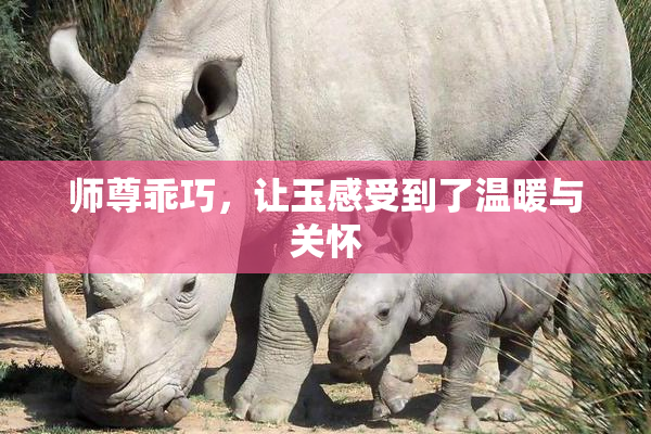 师尊乖巧，让玉感受到了温暖与关怀