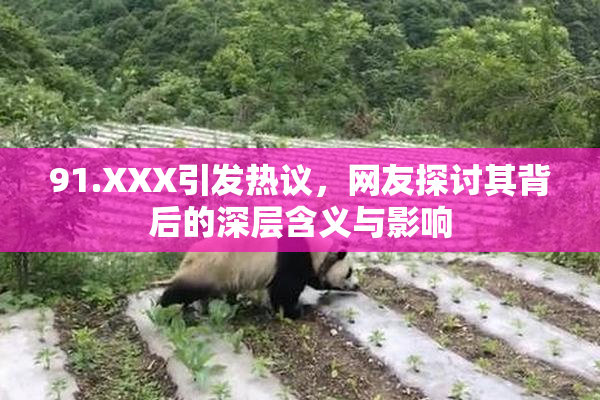 91.XXX引发热议，网友探讨其背后的深层含义与影响