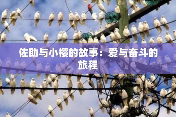 佐助与小樱的故事：爱与奋斗的旅程