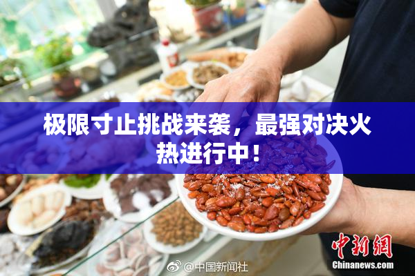 极限寸止挑战来袭，最强对决火热进行中！
