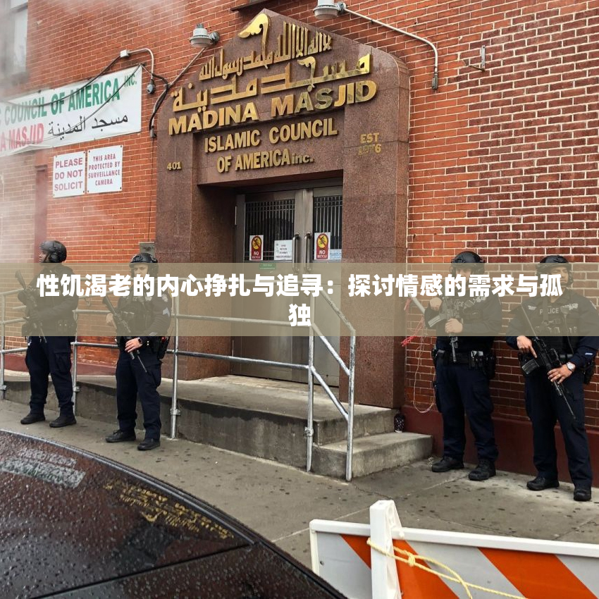 性饥渴老的内心挣扎与追寻：探讨情感的需求与孤独