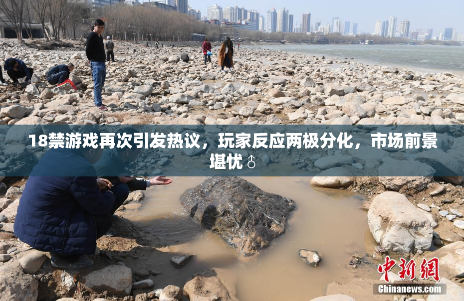 18禁游戏再次引发热议，玩家反应两极分化，市场前景堪忧♂