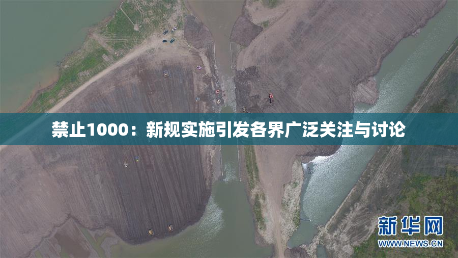 禁止1000：新规实施引发各界广泛关注与讨论