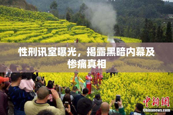 性刑讯室曝光，揭露黑暗内幕及惨痛真相