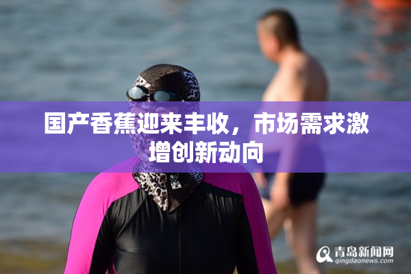 国产香蕉迎来丰收，市场需求激增创新动向