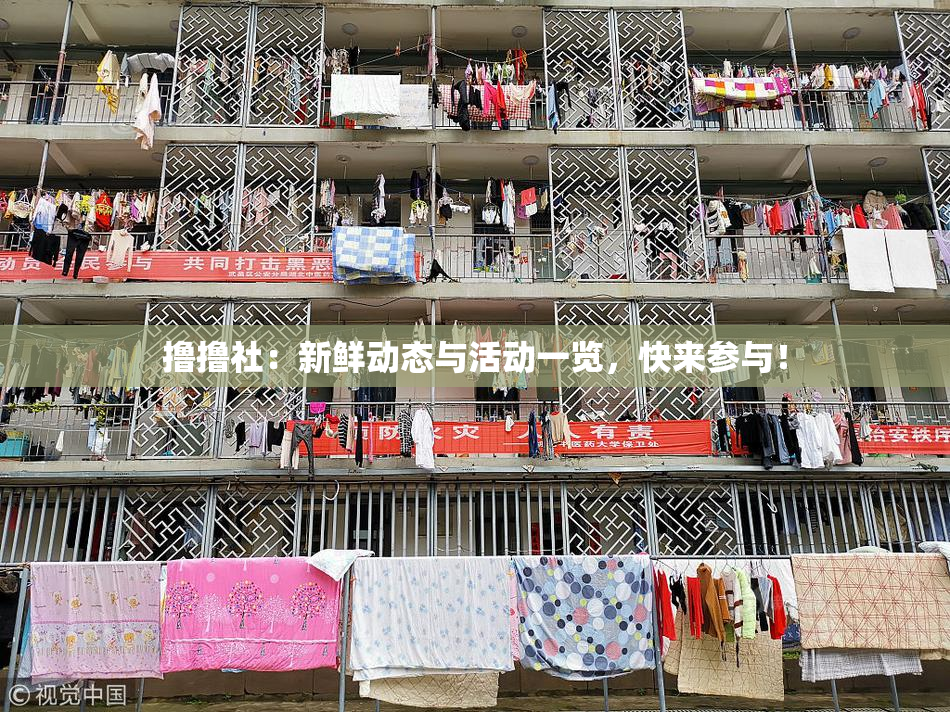 撸撸社：新鲜动态与活动一览，快来参与！