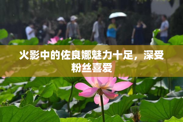 火影中的佐良娜魅力十足，深受粉丝喜爱