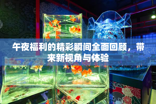 午夜福利的精彩瞬间全面回顾，带来新视角与体验