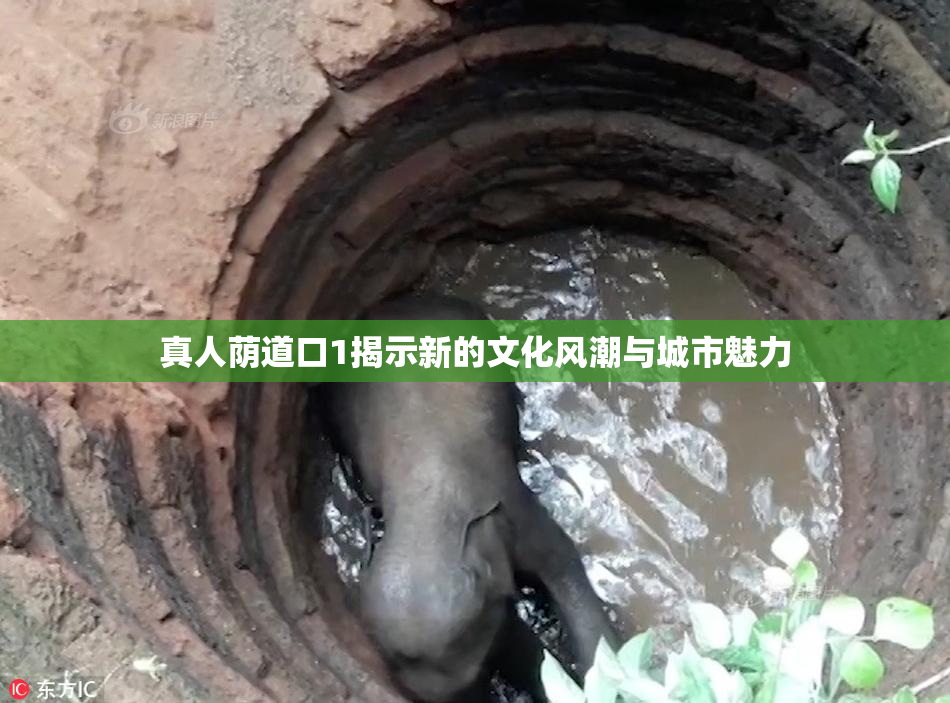真人荫道口1揭示新的文化风潮与城市魅力