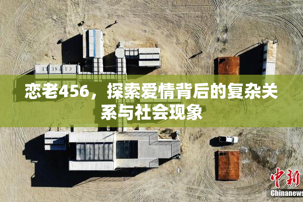 恋老456，探索爱情背后的复杂关系与社会现象