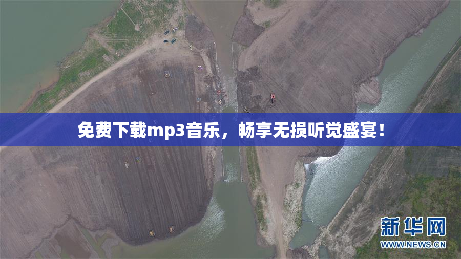 免费下载mp3音乐，畅享无损听觉盛宴！