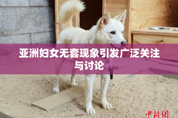 亚洲妇女无套现象引发广泛关注与讨论