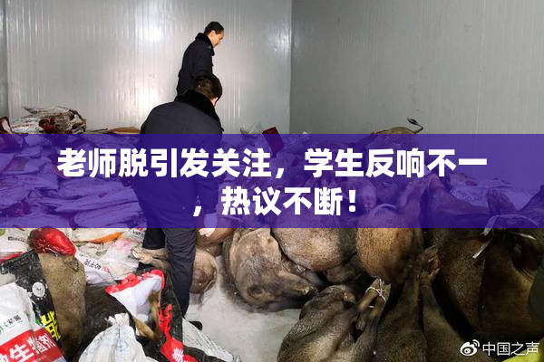 老师脱引发关注，学生反响不一，热议不断！