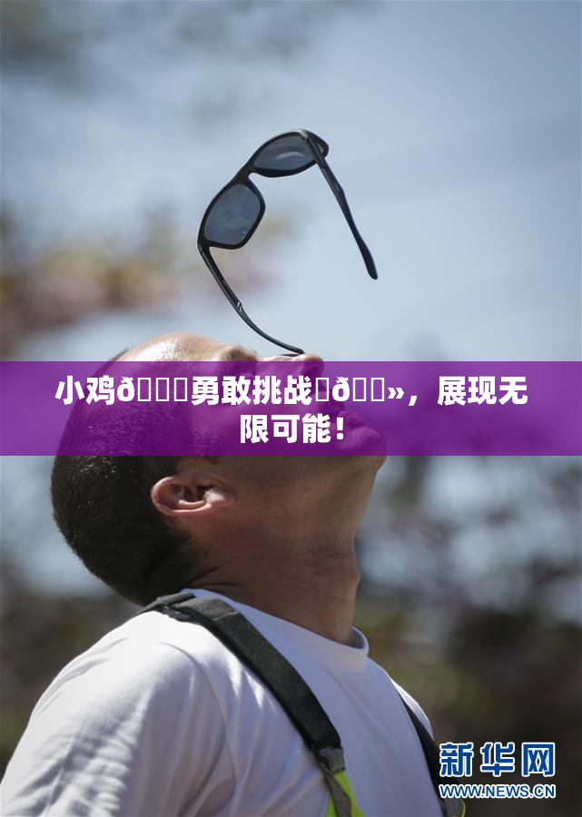 小鸡🐔勇敢挑战‌🐻，展现无限可能！