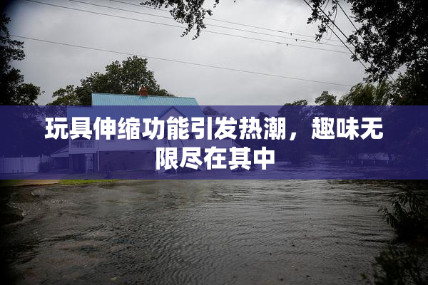 玩具伸缩功能引发热潮，趣味无限尽在其中