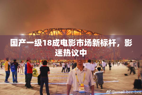 国产一级18成电影市场新标杆，影迷热议中
