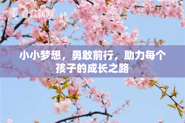 小小梦想，勇敢前行，助力每个孩子的成长之路