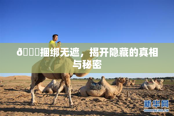 🔞捆绑无遮，揭开隐藏的真相与秘密