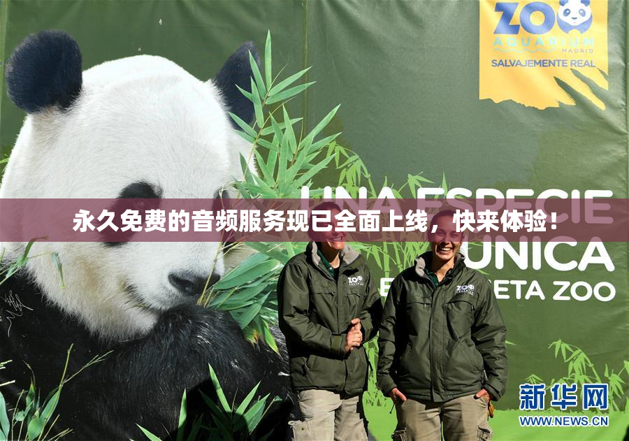 永久免费的音频服务现已全面上线，快来体验！