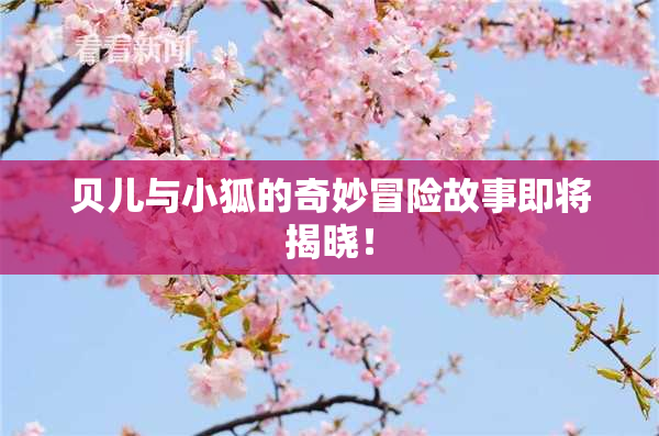 贝儿与小狐的奇妙冒险故事即将揭晓！
