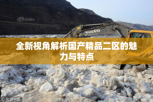 全新视角解析国产精品二区的魅力与特点