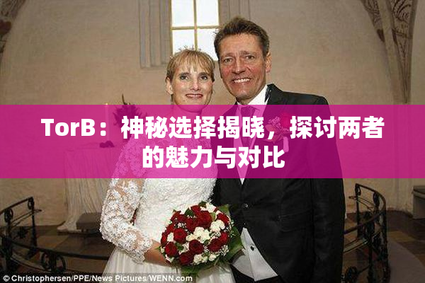 TorB：神秘选择揭晓，探讨两者的魅力与对比