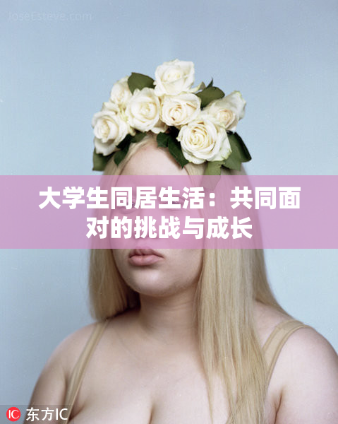 大学生同居生活：共同面对的挑战与成长